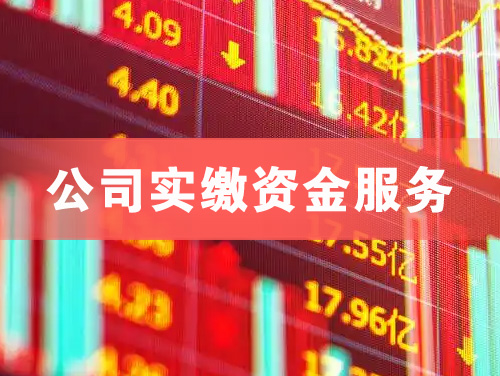 张家港公司实缴资金服务
