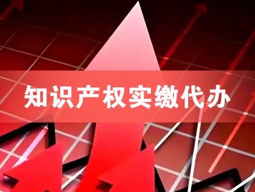 张家港知识产权实缴资本代办